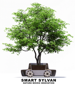 Logo der Firma SmartSylvan™ UG (haftungsbeschränkt)