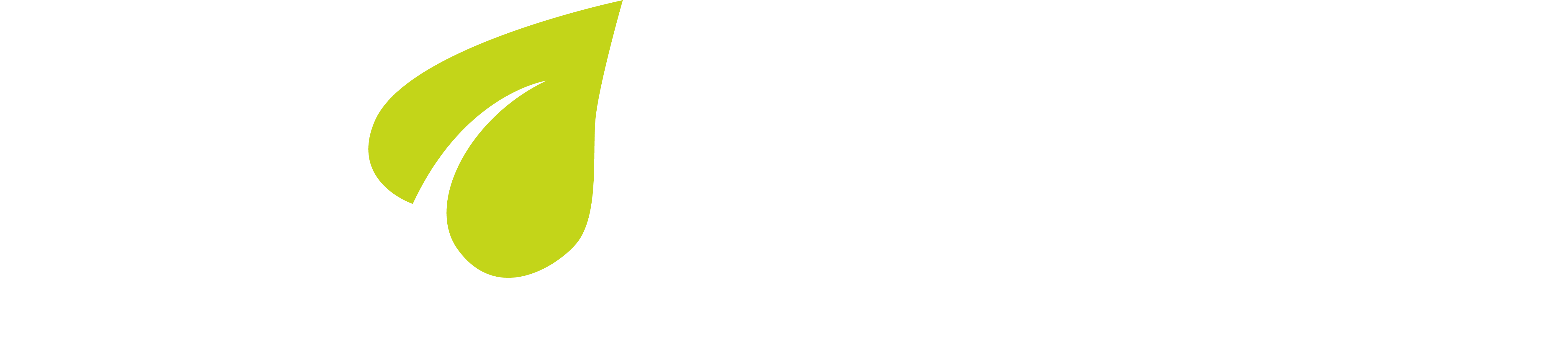 Logo der Firma planeed