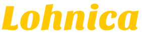 Logo der Firma Lohnica GmbH