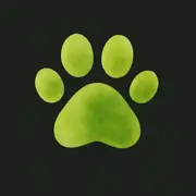 Logo der Firma Mietzekater
