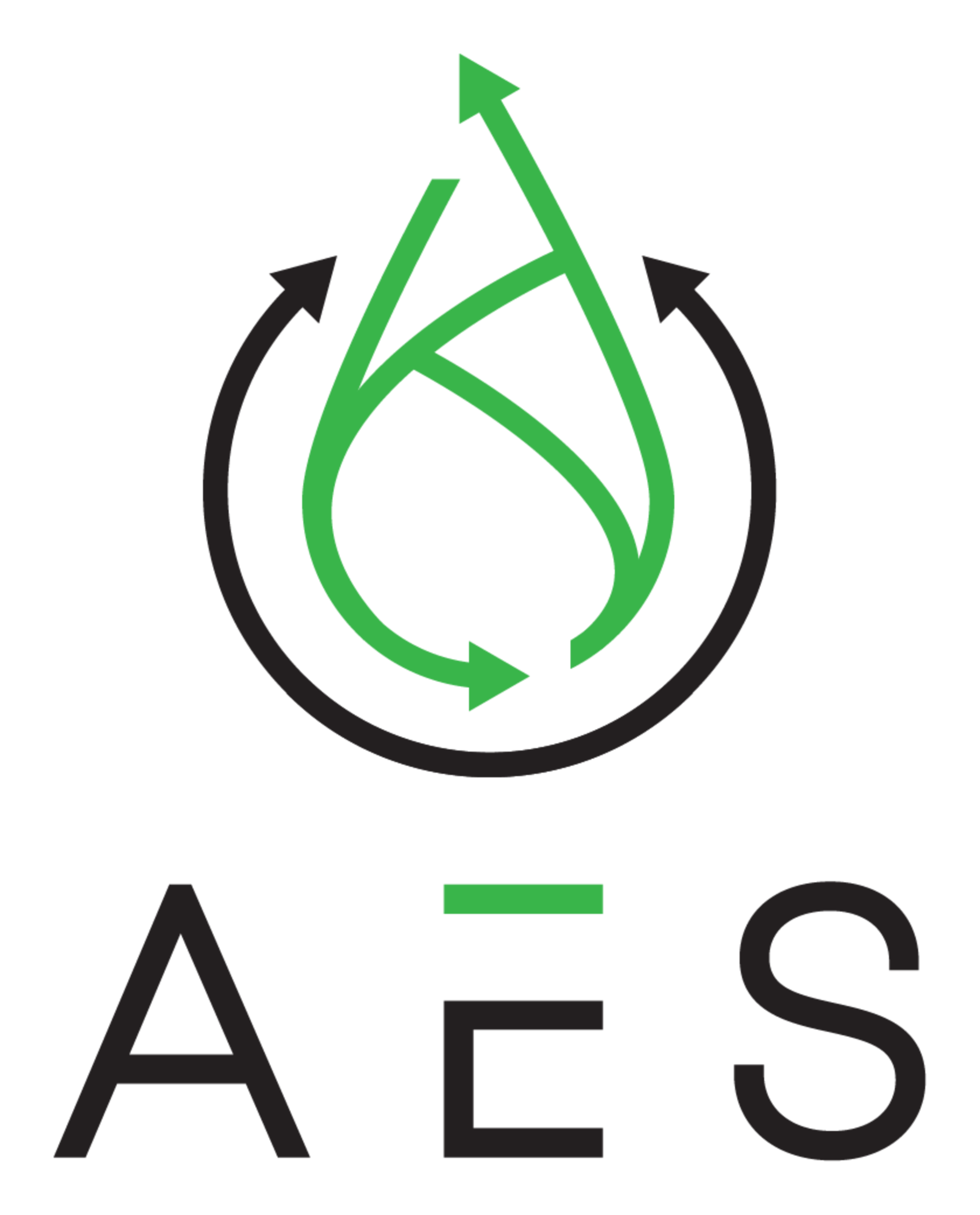 Logo der Firma AES Autonome Energiesysteme GmbH