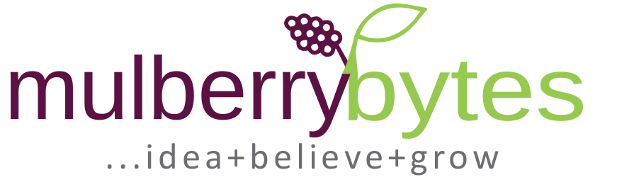 Logo der Firma Sana Naz (Freelancer)