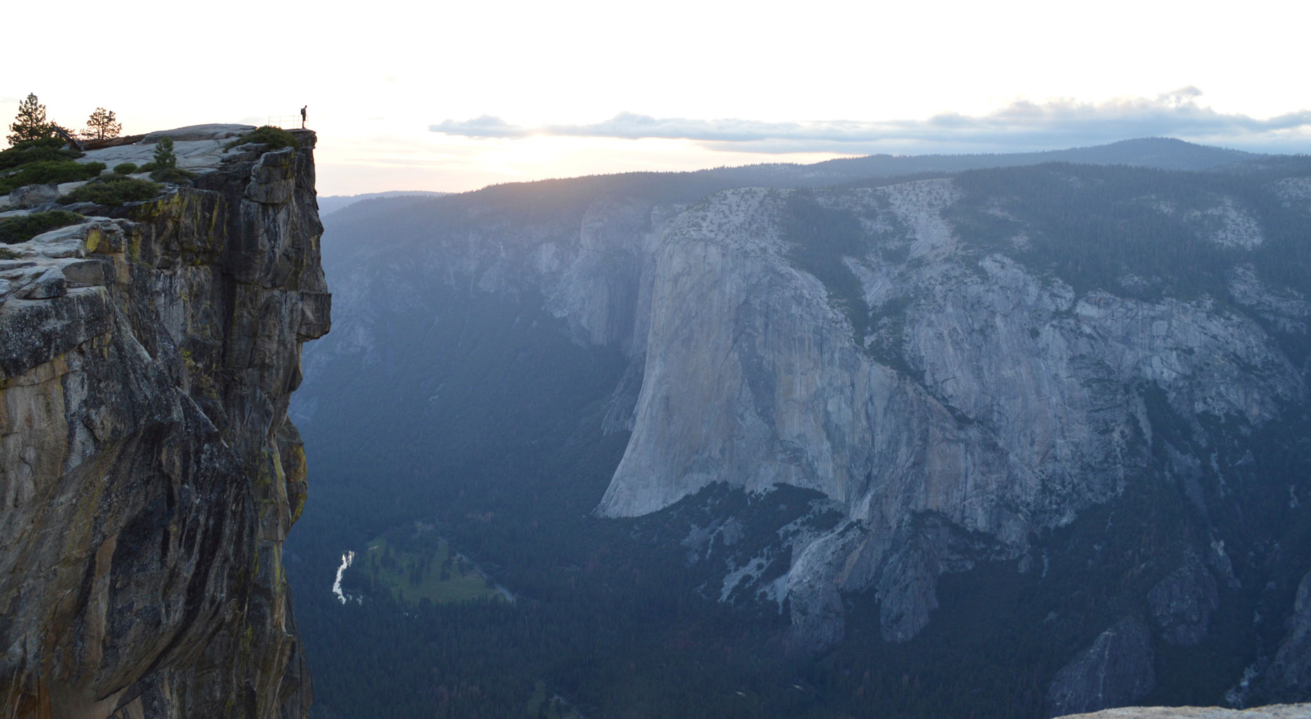 Logo der Firma coparion