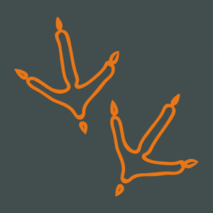 Logo der Firma Tanja Dornieden – Landerfolg Lenglern