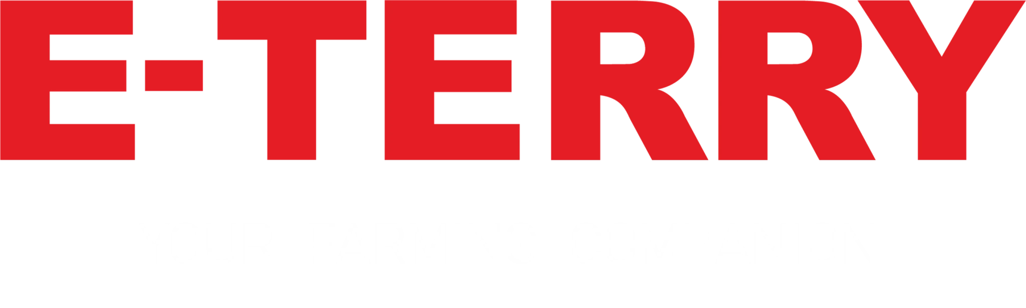 Logo der Firma E-TERRY