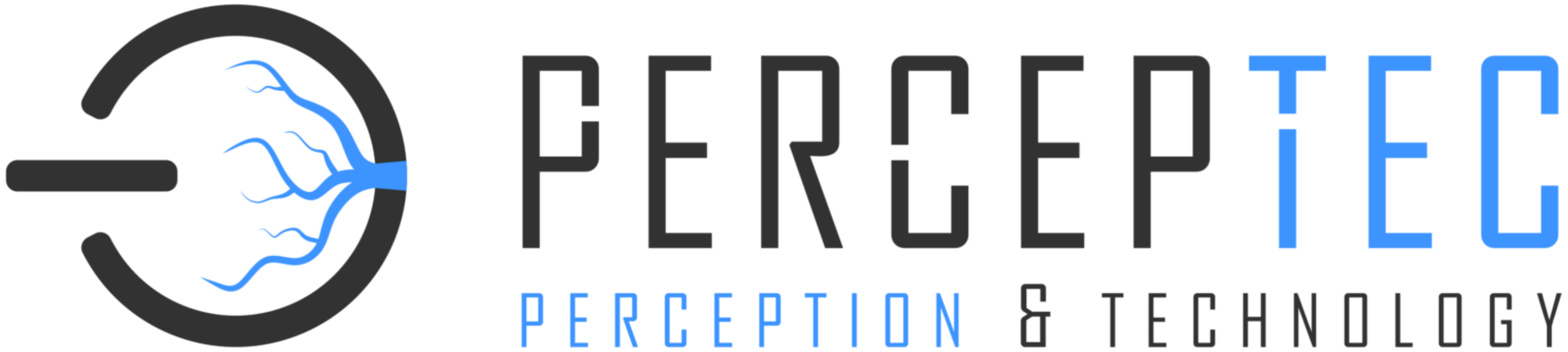 Logo der Firma PERCEPTEC GmbH
