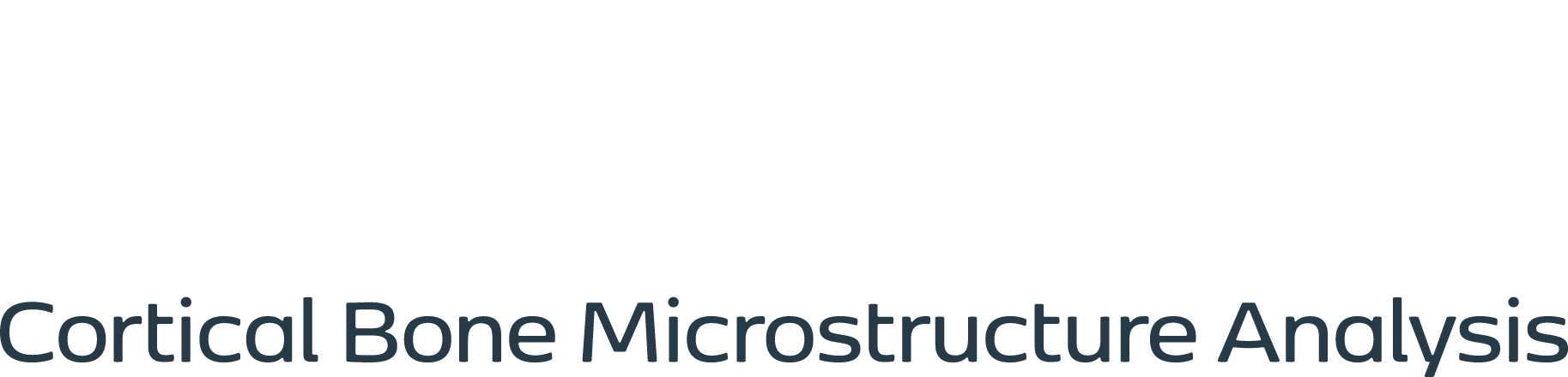 Logo der Firma POROUS GmbH