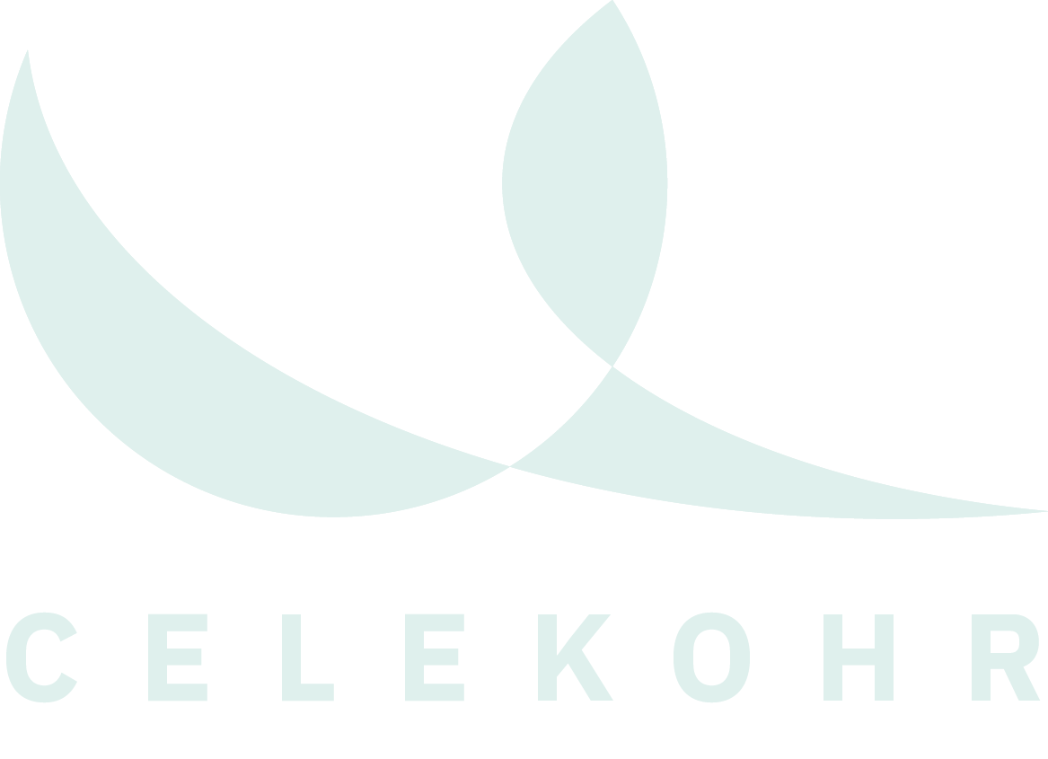 Logo der Firma Celekohr GmbH