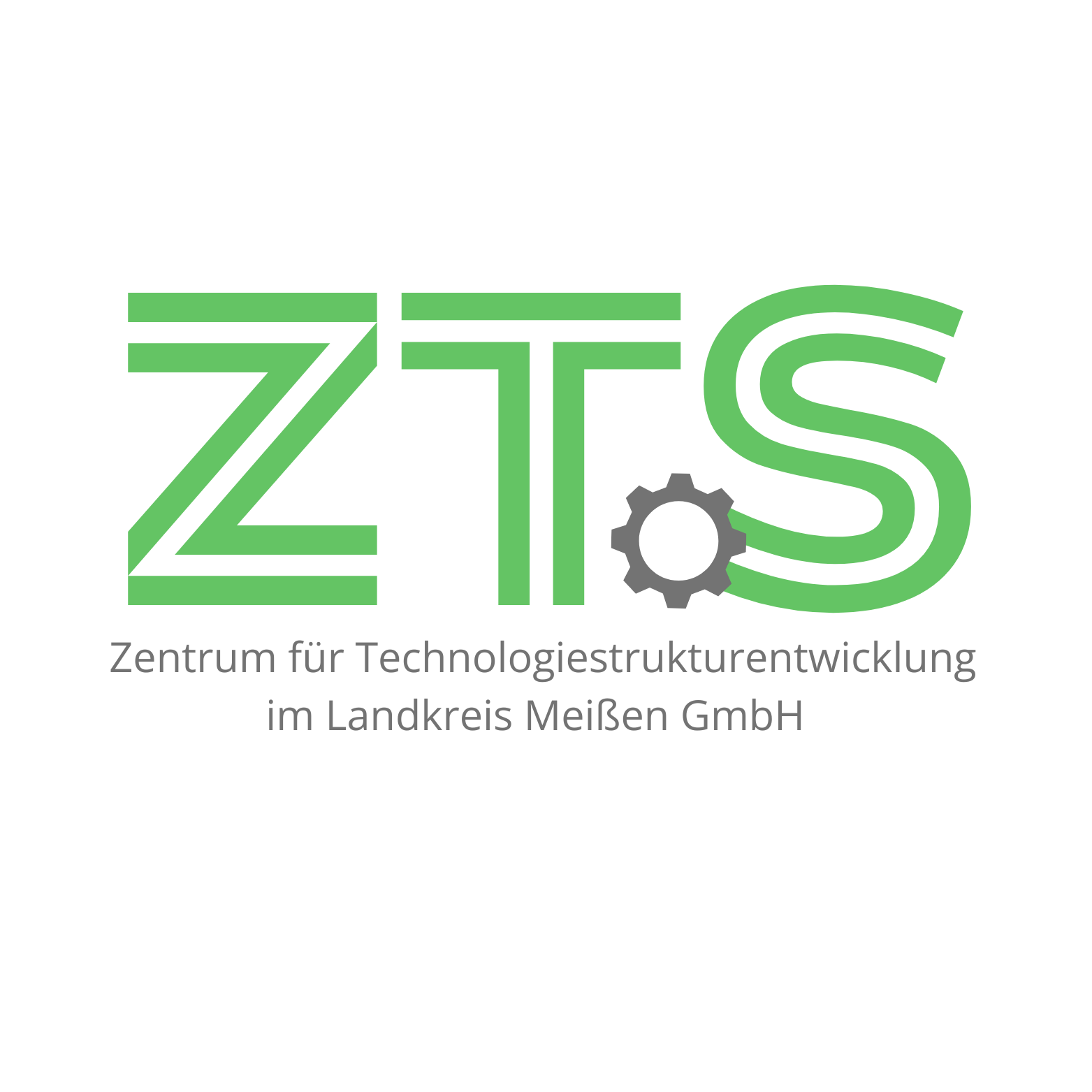 Logo der Firma ZTS - Zentrum für Technologiestrukturentwicklung im Landkreis Meißen GmbH