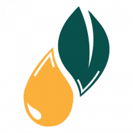 Logo der Firma GLOBAL SUSTAINABLE TRANSFORMATION GST GMBH