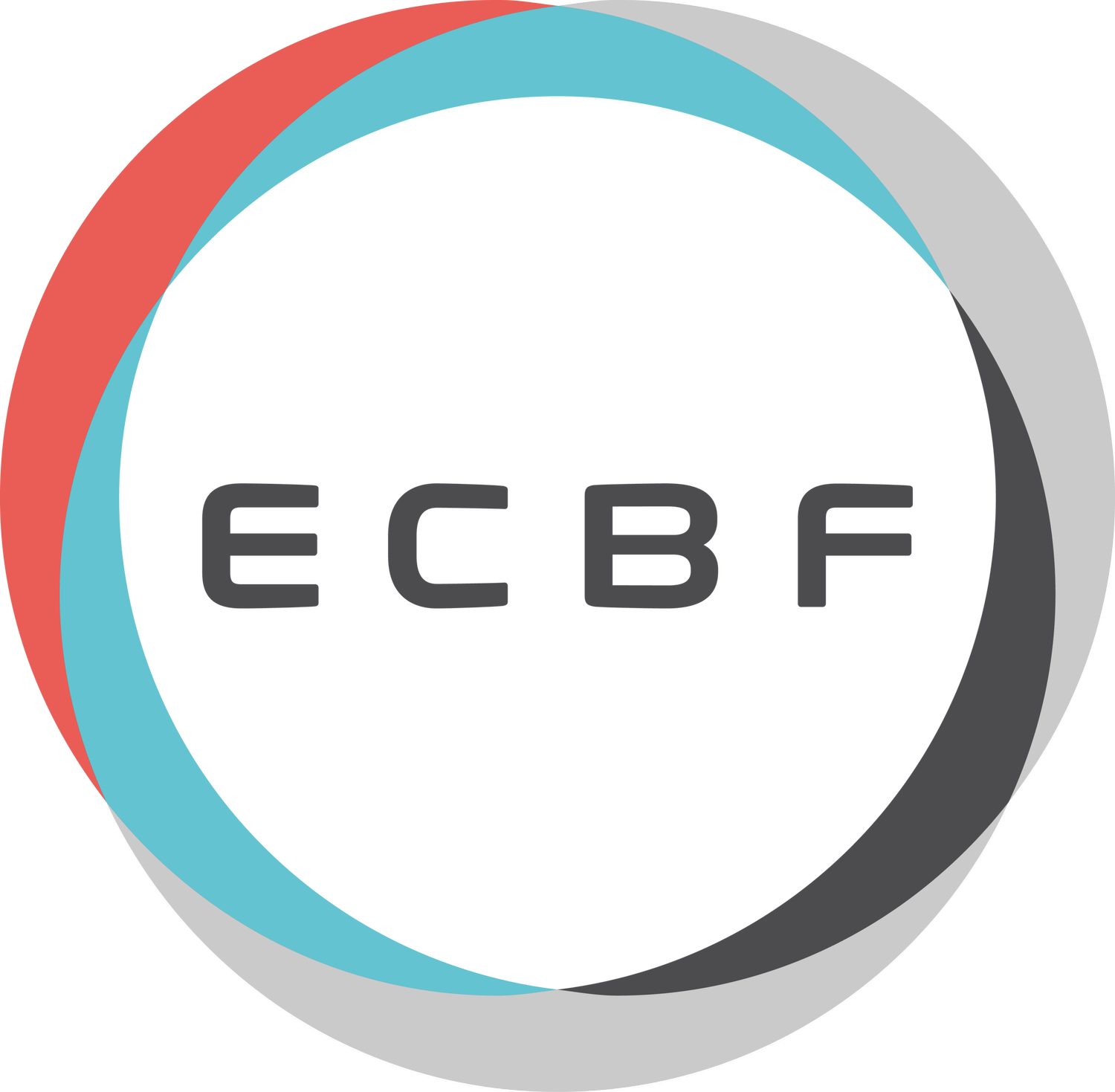 Logo der Firma ECBF Management GmbH
