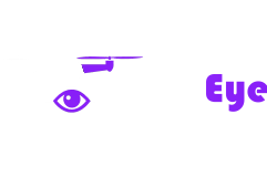 Logo der Firma DronEye UG