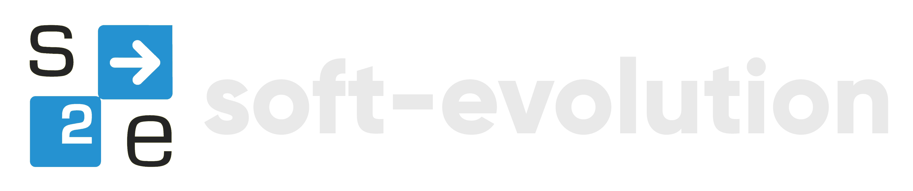 Logo der Firma soft-evolution GmbH & Co. KG