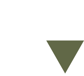 Logo der Firma Oberon Systems GmbH