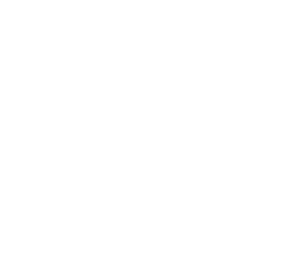 Logo der Firma Minnt GmbH