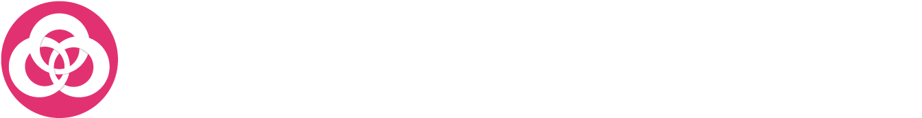 Logo der Firma BWS Networking GmbH