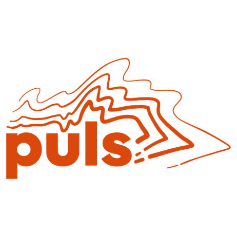 Logo der Firma PULS Hildesheim e.V.