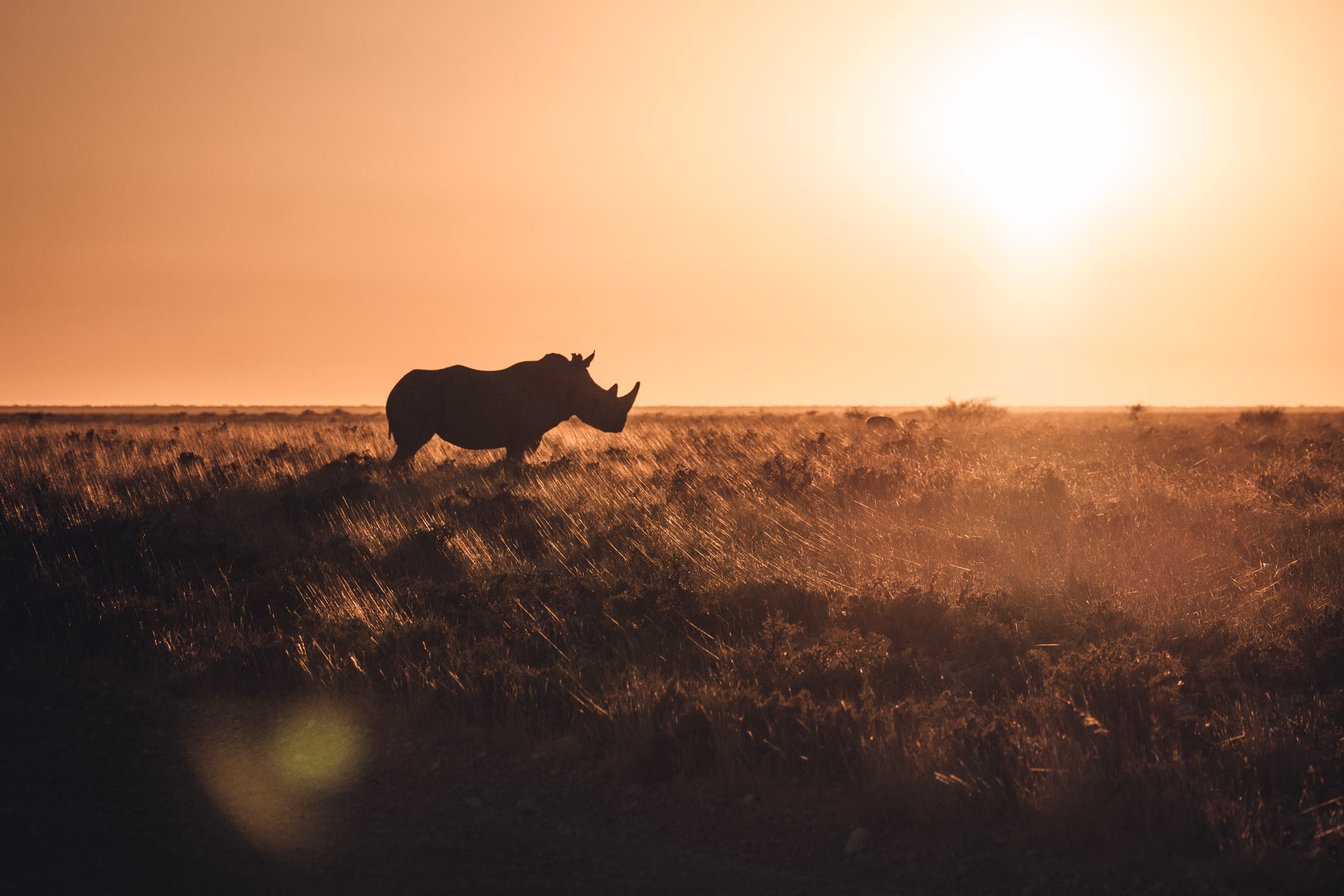 Logo der Firma Planetary Vision