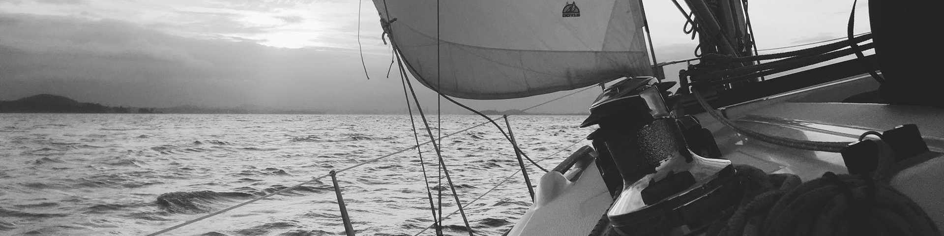 Logo der Firma Zielwirk (Konsortium, Webauftritt betrieben durch FDX Fluid Dynamix GmbH)