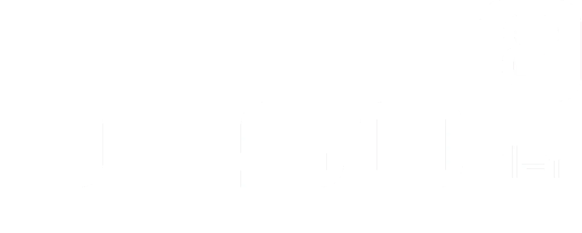 Logo der Firma besoplan