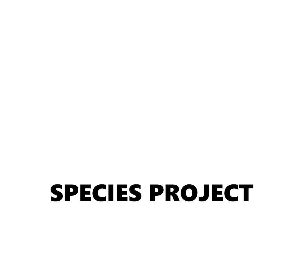 Logo der Firma Berliner Gesellschaft für Großaquarien mbH