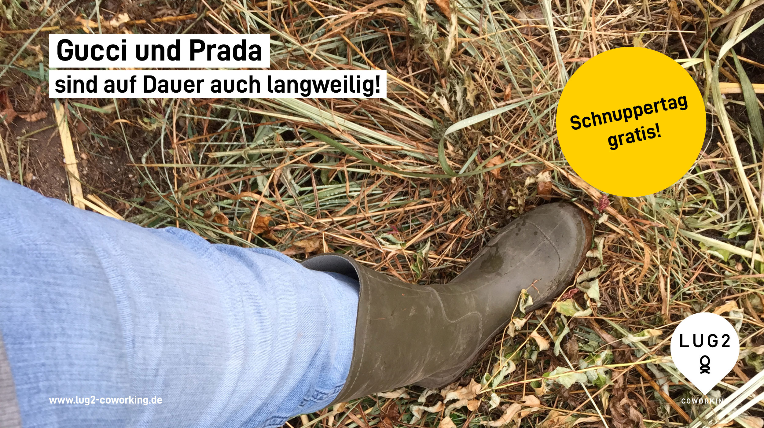 Logo der Firma hafenjunge, markus wegner design