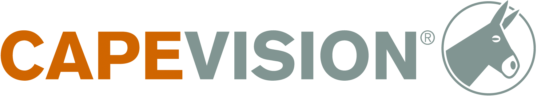 Logo der Firma CapeVision GmbH