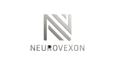 Logo der Firma NeuroVexon UG (haftungsbeschränkt)