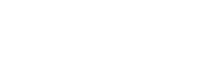 Logo der Firma immersive insiders