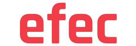 Logo der Firma efec AG