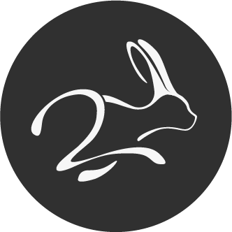Logo der Firma Vhite Rabbit XR