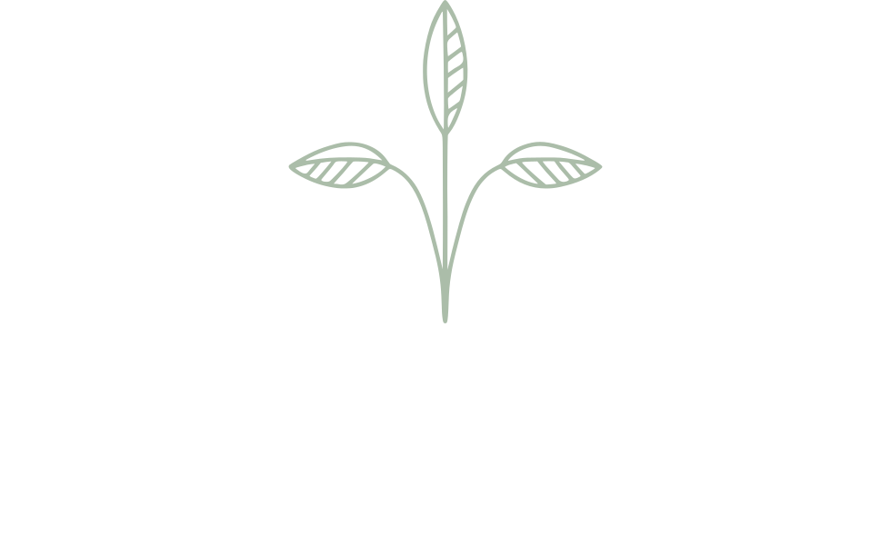 Logo der Firma CoCreating Space Hamburg