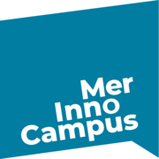 Logo der Firma Merseburg Innovations- und Technologiezentrum GmbH (mitz)