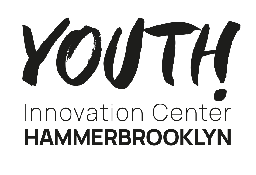 Logo der Firma Stiftung Hammerbrooklyn – Stadt der Zukunft