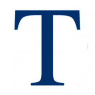 Logo der Firma Triton Beratungsgesellschaft GmbH