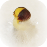 Logo der Firma Senserior UG (haftungsbeschränkt)