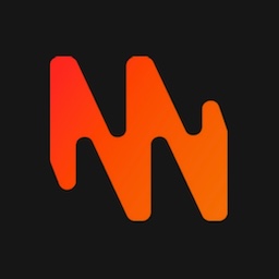 Logo der Firma Venture Club Münster e.V.