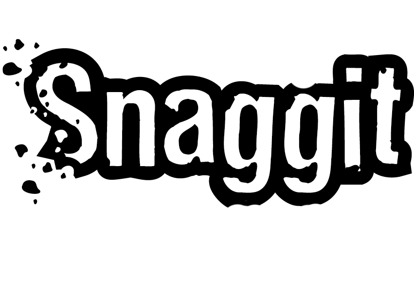 Logo der Firma Snaggit UG