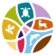 Logo der Firma Fashion for Biodiversity Solutions GmbH