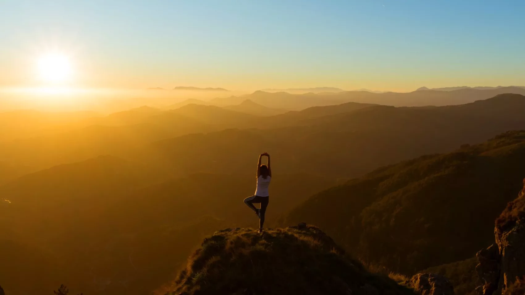 Logo der Firma Mana Loft