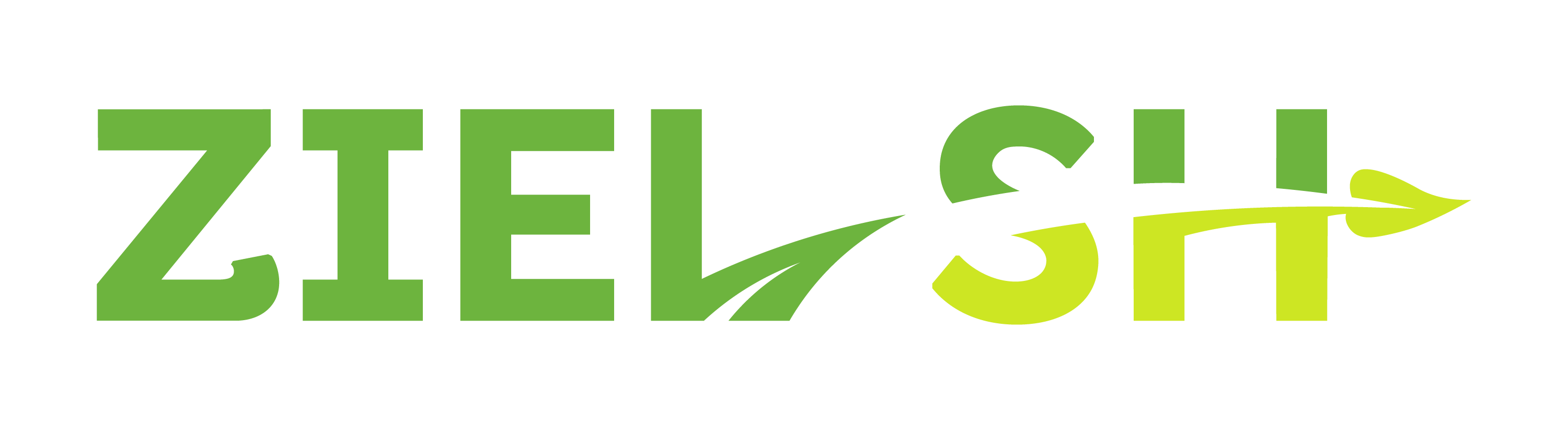 Logo der Firma ZIEL-SH e.V.