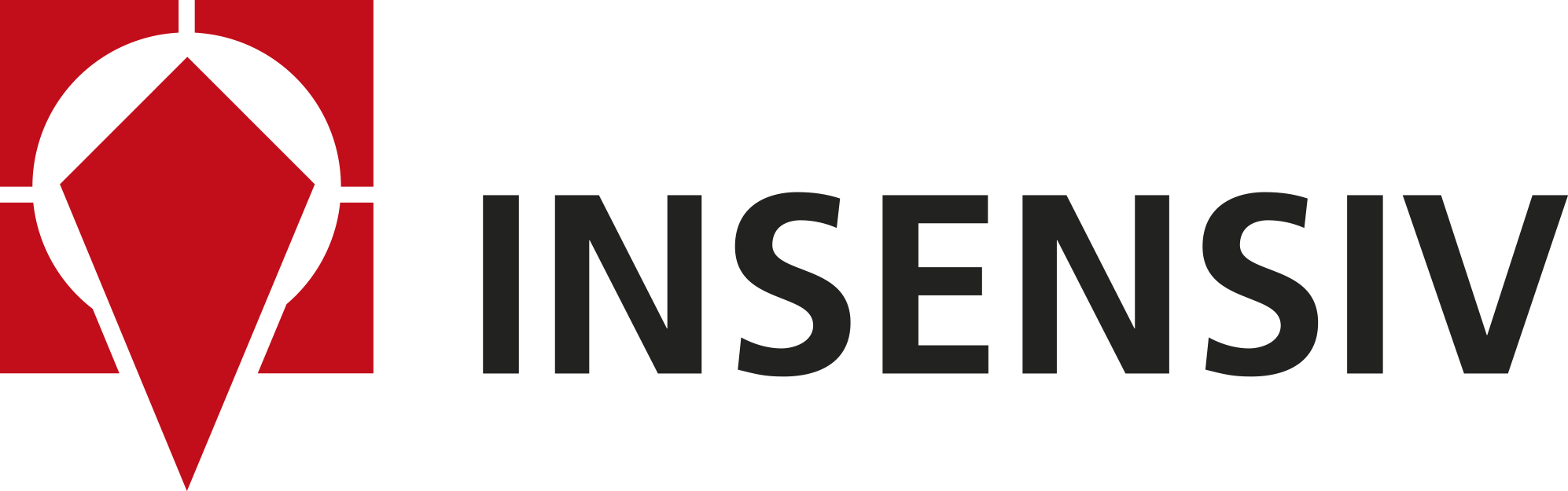 Logo der Firma insensiv GmbH