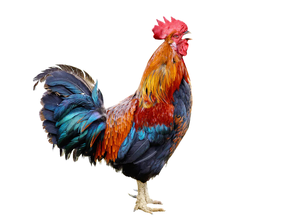 Logo der Firma MILOT'S VODKA GmbH