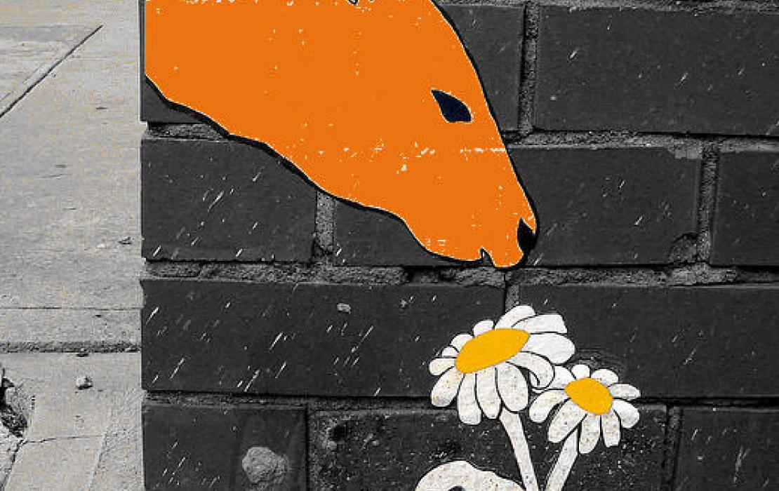 Logo der Firma Volker Vorwerk buergerwissen