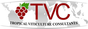 Logo der Firma Tropical Viticulture Consultants TVC GmbH