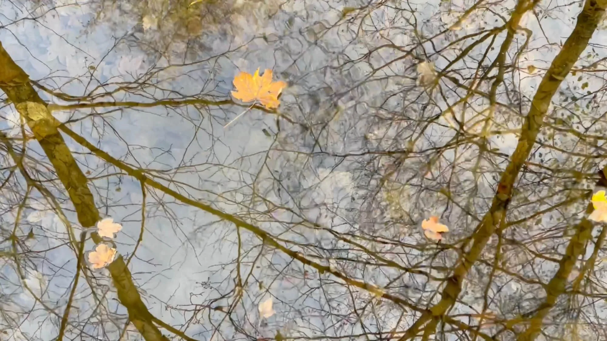 Logo der Firma CONVELA GmbH