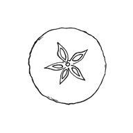 Logo der Firma klaar - fruchtfermente GmbH