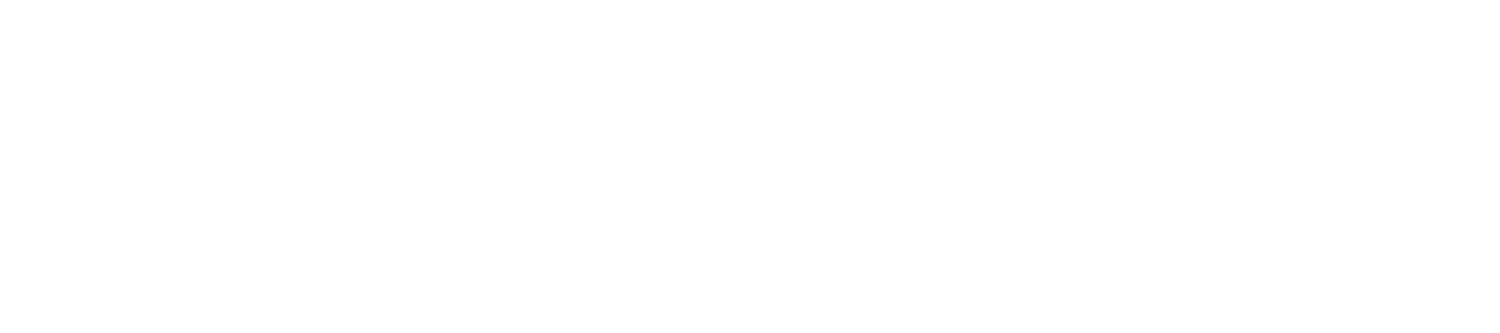 Logo der Firma Visense
