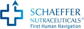 Logo der Firma Proto Global GmbH