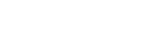 Logo der Firma Covisa Software Services GmbH